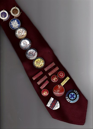 St Elphin's School Wilson House tie